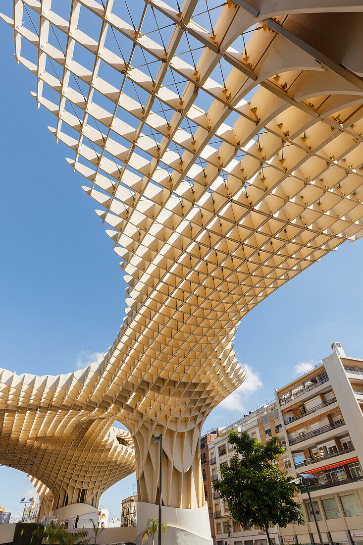 Metropol Parasol, Aussichtsplattform, Plaza de la Encarnación, moderne Architektur, Architekt Jürgen Mayer Hermann, Sevilla, Andalusien, Spanien, Europa