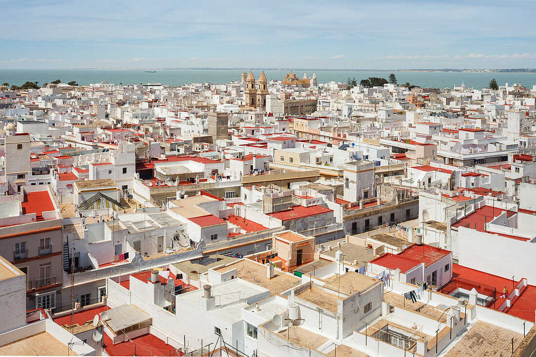 Blick vom Torre Tavira, Aussichtsturm, Altstadt, Cadiz, Costa de la Luz, Atlantik, Andalusien, Spanien, Europa