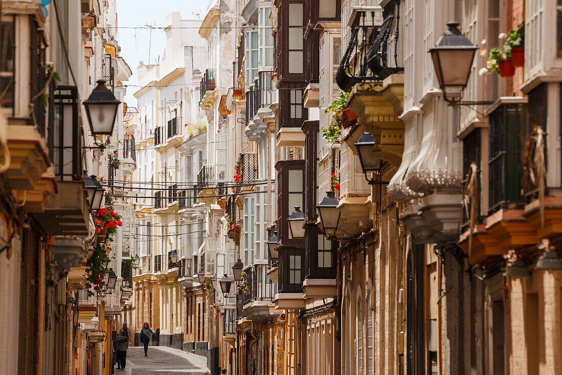 Alley in the old town, Cadiz, Costa de la Luz, Atlantic Ocean, Cadiz, Andalucia, Spain, Europe