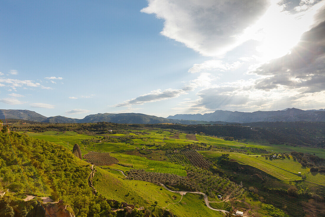grüne Landschaft mit Olivenbäumen, Blick von der Puente Nuevo, Brücke, Ronda, Provinz Malaga, Andalusien, Spanien, Europa
