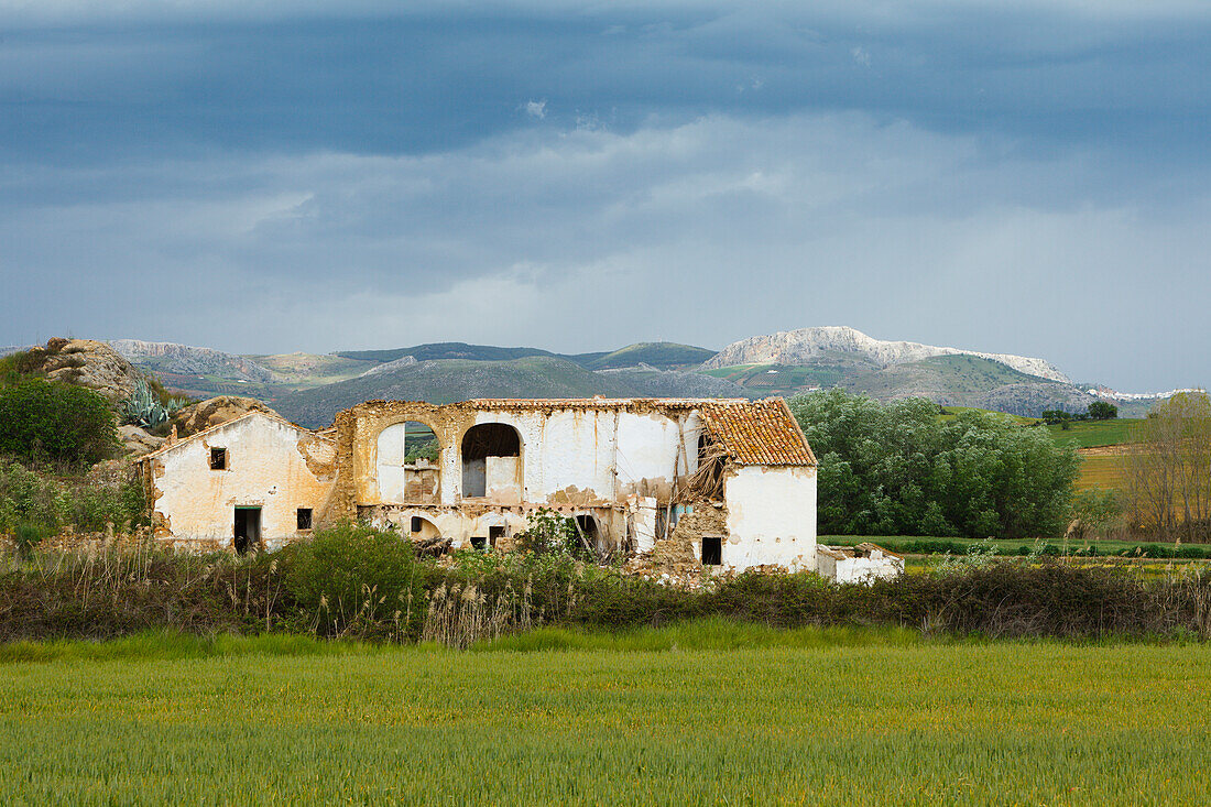 abandoned cottage ruin, Canete la Real, near Ronda, Malaga province, Andalucia, Spain, Europe