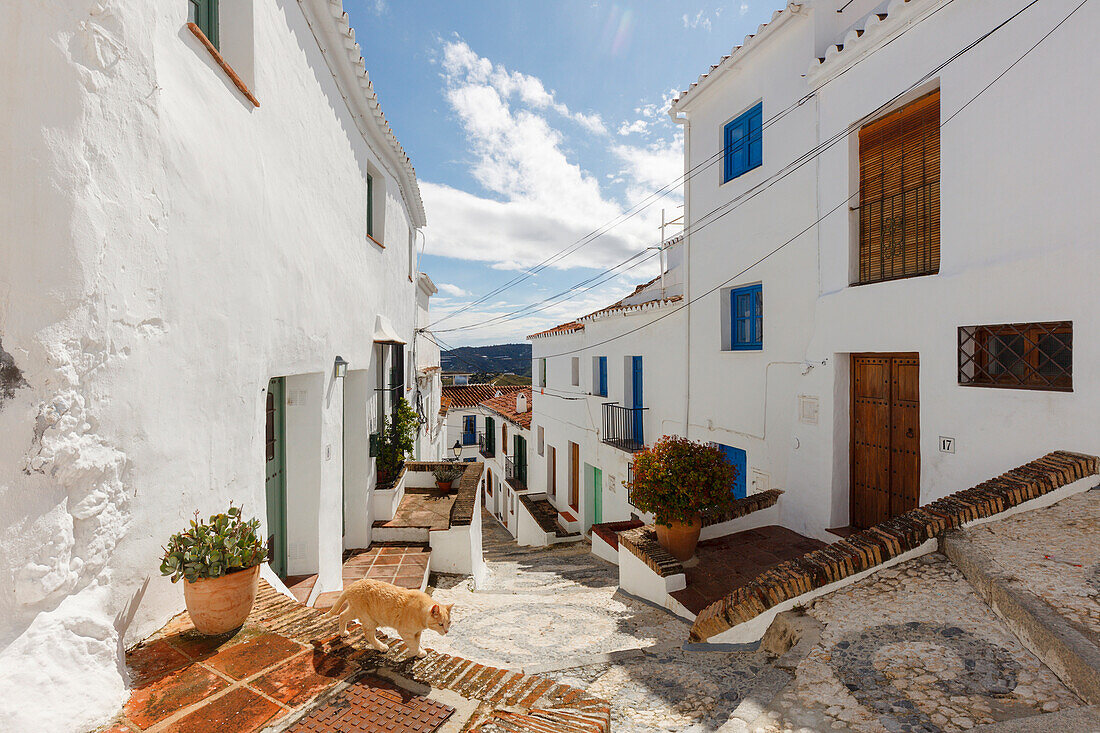 Frigiliana, pueblo blanco, weißes Dorf, Provinz Malaga, Andalusien, Spanien, Europa