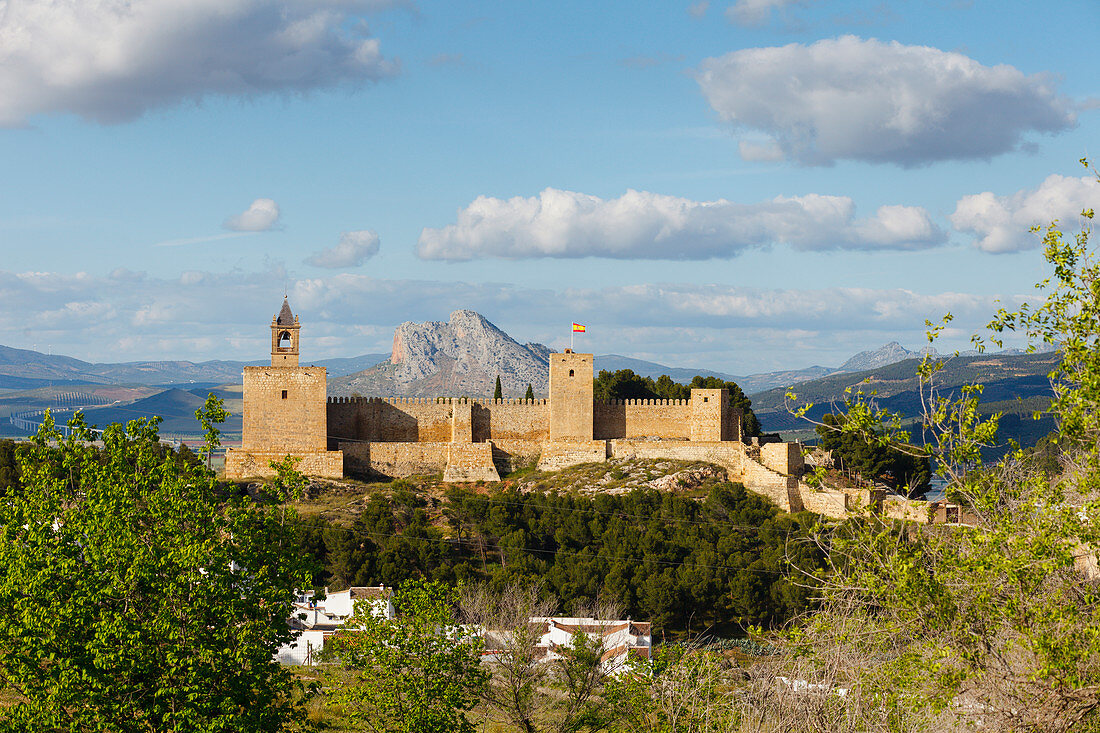 Alcazaba, Castillo, Burg, Antequera, Stadt, Provinz Malaga, Andalusien, Spanien, Europa