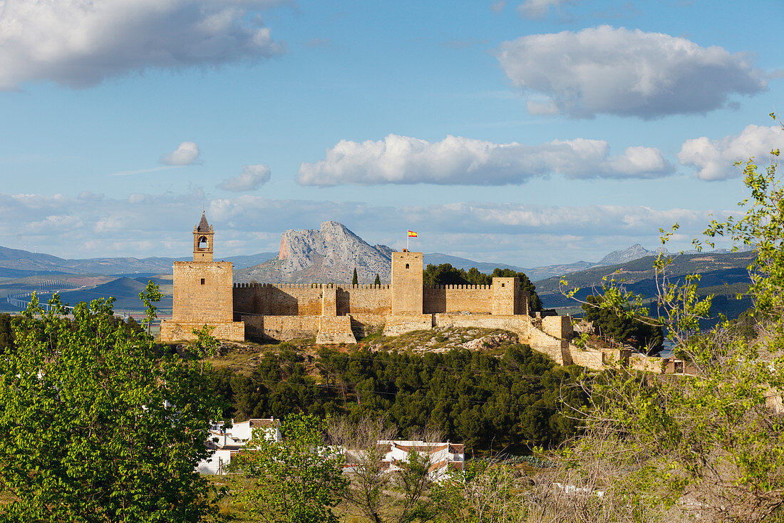 Alcazaba, Castillo, castle, Antequera, town, Malaga Province, Andalucia, Spain, Europe