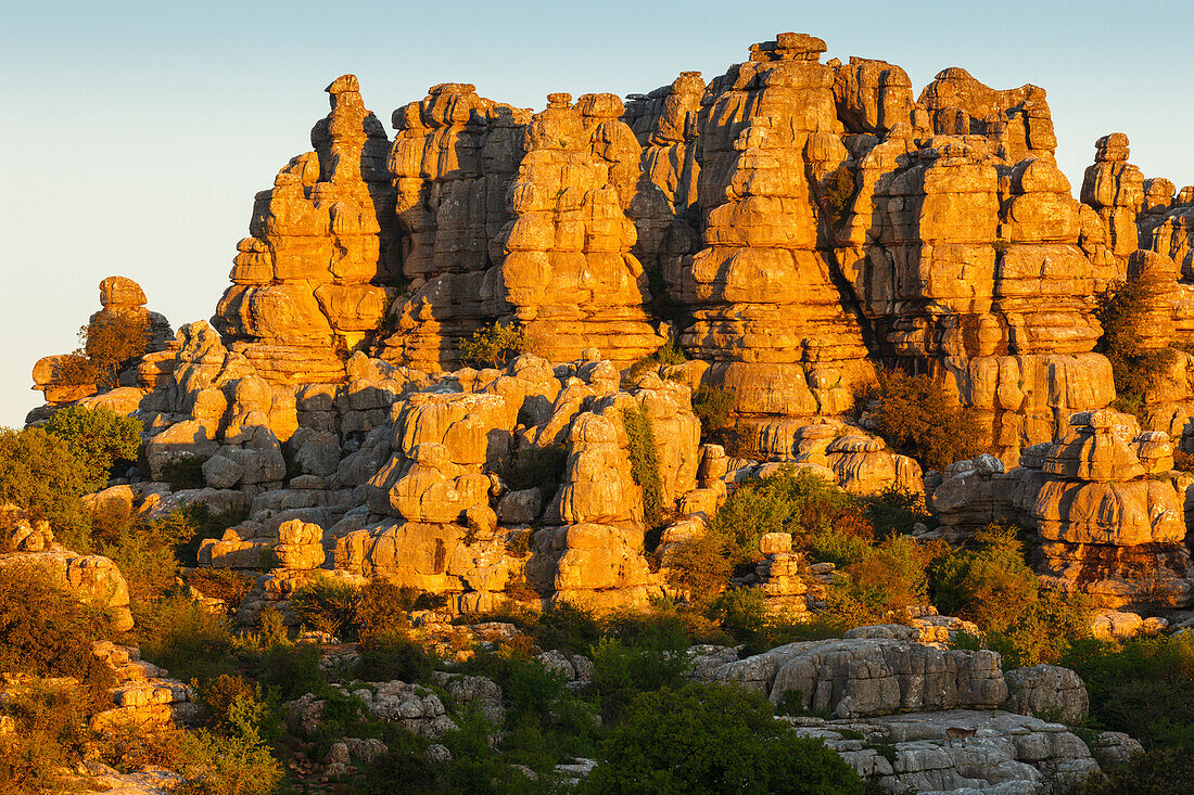 El Torcal, El Torcal de Antequera, Naturpark, Karst, Karstlandschaft, Erosion, bei Antequera, Provinz Malaga, Andalusien, Spanien