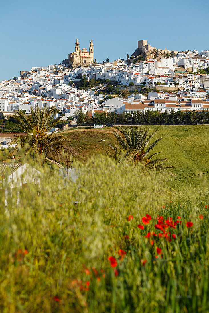 Castillo, arabische Burg, Kirche, Olvera, pueblo blanco, weißes Dorf, Provinz Cadiz, Andalusien, Spanien, Europa