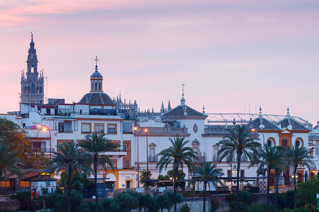 Blick zur Giralda, Glockenturm der Kathedrale, Stierkampfarena, Altstadt, Sevilla, Andalusien, Spanien, Europa