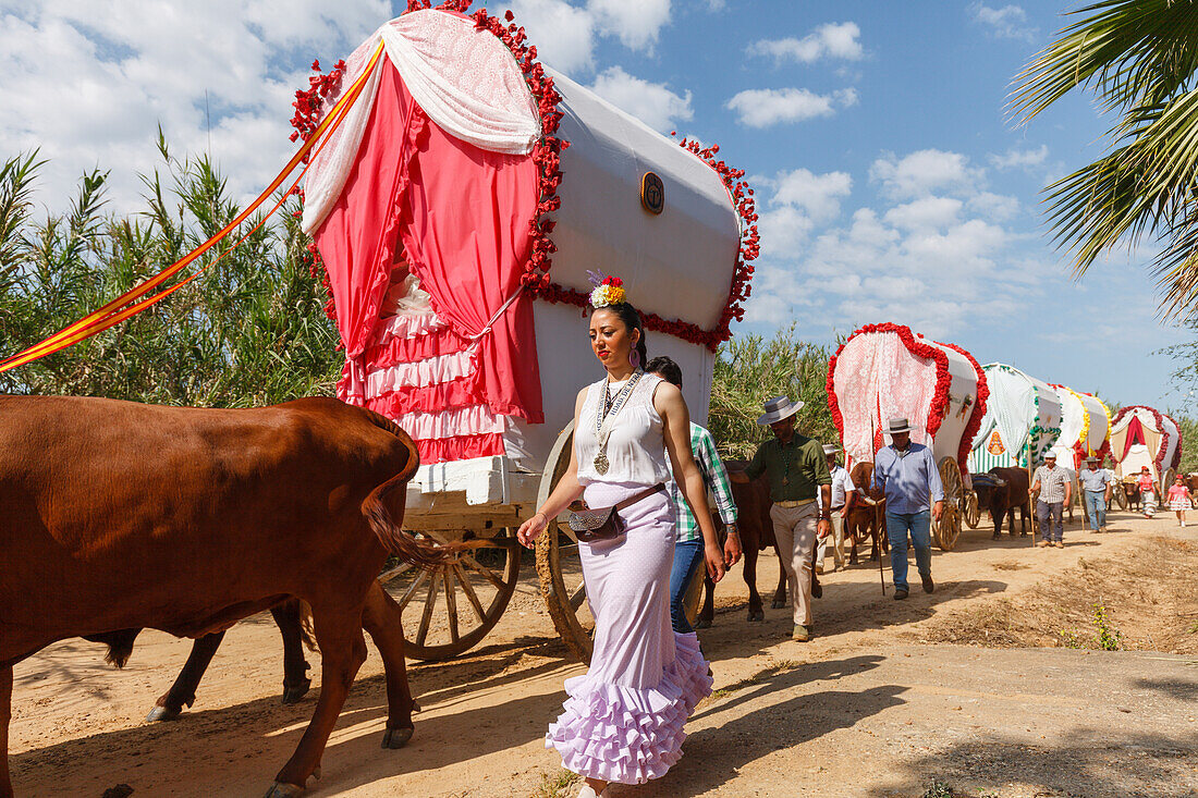 Pilgrim woman and caravan of ox carts, El Rocio, pilgrimage, Pentecost festivity, Huelva province, Sevilla province, Andalucia, Spain, Europe