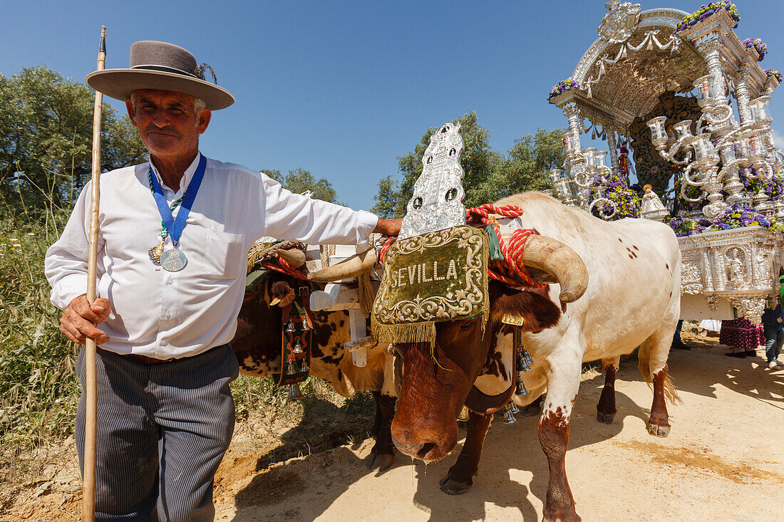 Ochsentreiber, Simpecado-Karren, El Rocio, Wallfahrt nach El Rocio, Fest, Pfingsten, Provinz Huelva, Provinz Sevilla, Andalusien, Spanien, Europa