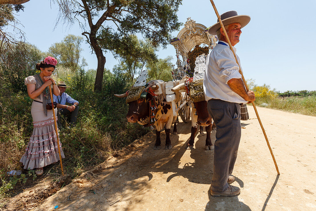 Ochsentreiber, Simpecado-Karren, El Rocio, Wallfahrt nach El Rocio, Fest, Pfingsten, Provinz Huelva, Provinz Sevilla, Andalusien, Spanien, Europa