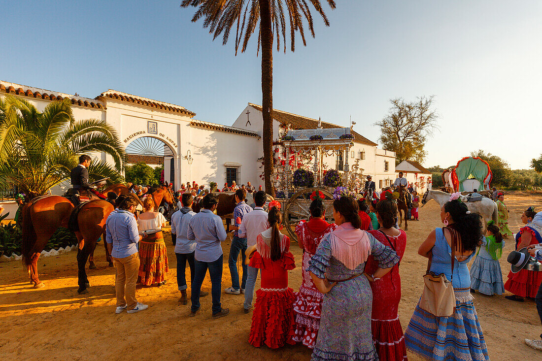 Simpecado cart at a country estate, palm tree, El Rocio, pilgrimage, Pentecost festivity, Huelva province, Sevilla province, Andalucia, Spain, Europe