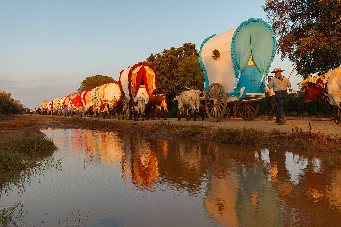 Karawane der Ochsenkarren, Wasserspiegelung, El Rocio, Wallfahrt nach El Rocio, Fest, Pfingsten, Provinz Huelva, Provinz Sevilla, Andalusien, Spanien, Europa