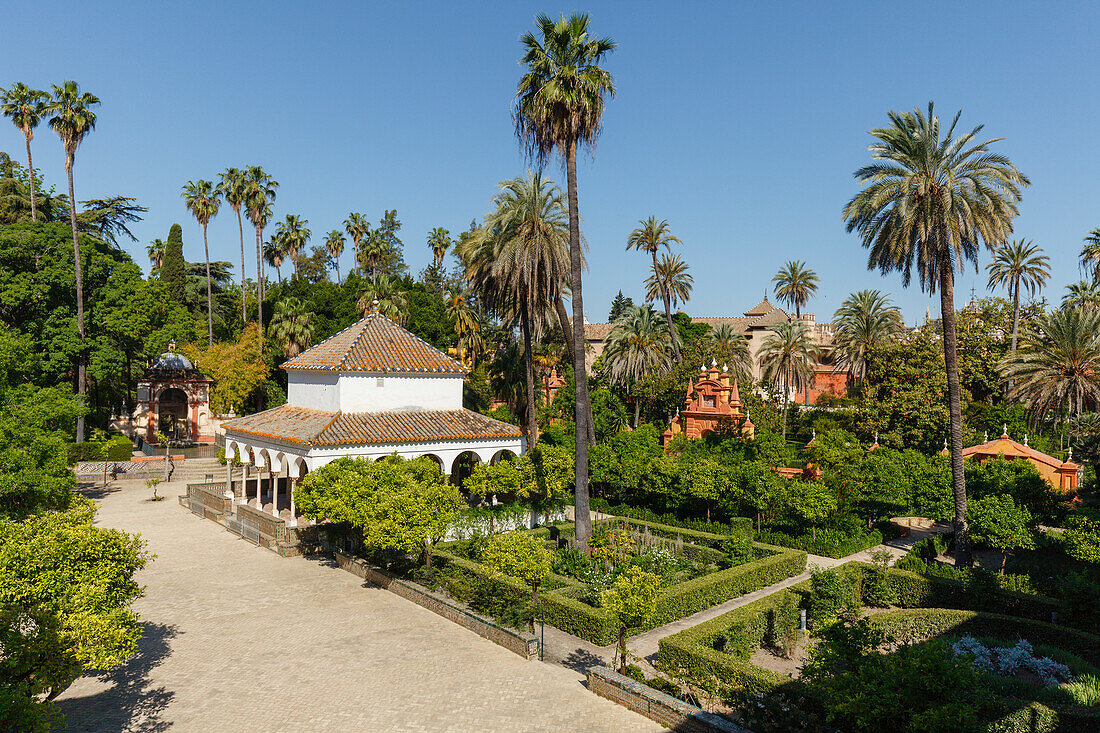 Pabellon de Carlos V., palm trees in the Jardines del Real Alcazar, royal palace, UNESCO World Heritage, Sevilla, Andalucia, Spain, Europe