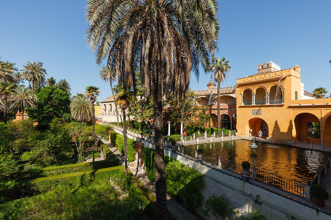 Estanque de Mercurio, Wasserbecken, Palmen, Jardínes del Real Alcázar, königlicher Palast, UNESCO Welterbe, Sevilla, Andalusien, Spanien, Europa