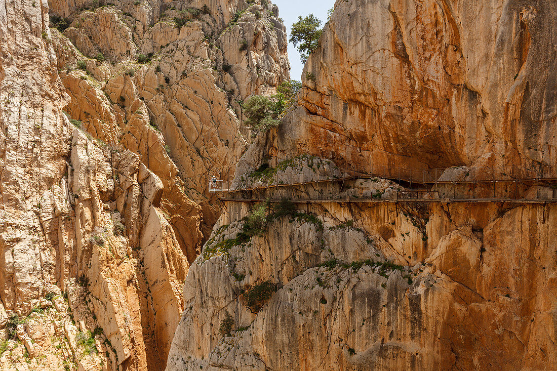 hiker, Caminito del Rey, via ferrata, hiking trail, gorge, Rio Guadalhorce, river, Desfiladero de los Gaitanes, near Ardales, Malaga province, Andalucia, Spain, Europe
