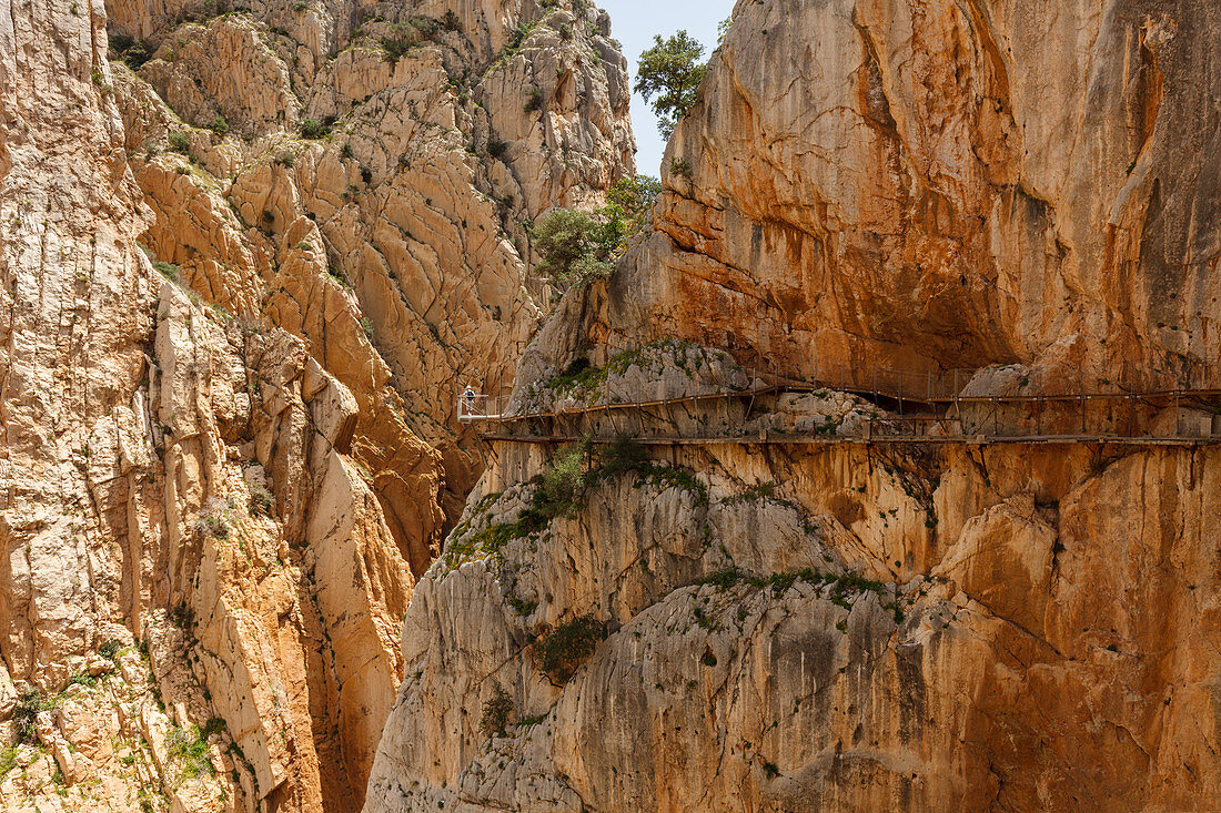 wanderer, Caminito del Rey, Klettersteig, Wanderweg, Schlucht, Rio Guadalhorce, Fluss, Desfiladero de los Gaitanes, bei Ardales, Provinz Malaga, Andalusien, Spanien, Europa