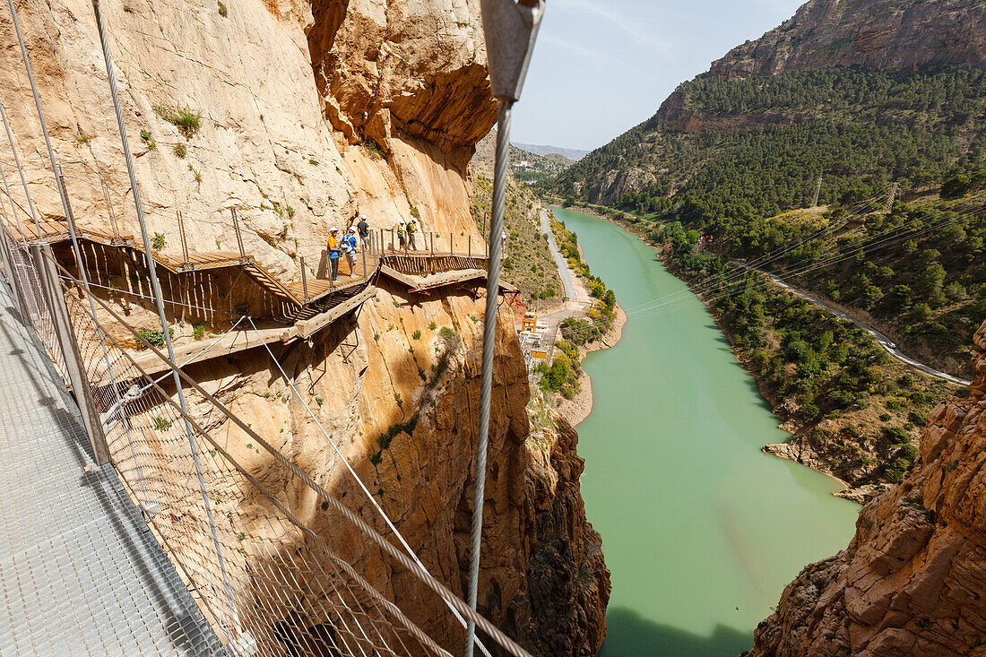 Wanderer, Brücke, Caminito del Rey, Klettersteig, Wanderweg, Schlucht, Rio Guadalhorce, Fluss, Desfiladero de los Gaitanes, bei Ardales, Provinz Malaga, Andalusien, Spanien, Europa