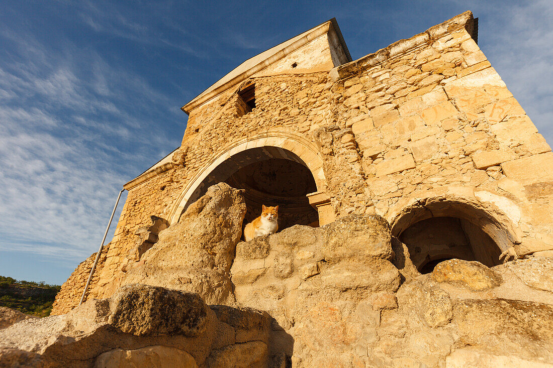Katze vor Iglesia de las Angustias, Kirchenruine,  Alhama de Granada, Provinz Granada, Andalusien, Spanien, Europa