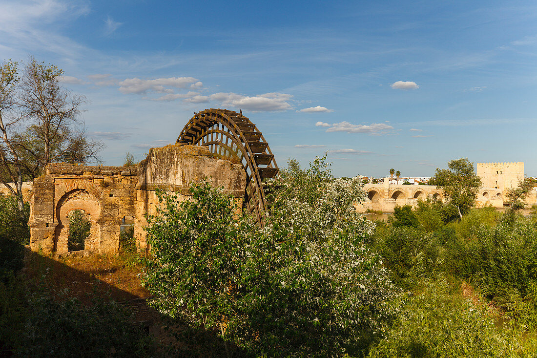 Noria, historisches Wasserrad zur Bewässerung der Palastgärten, Puente Romano, Brücke, historisches Stadtzentrum von Cordoba, UNESCO Welterbe, Rio Guadalquivir, Fluss, Cordoba, Andalusien, Spanien, Europa