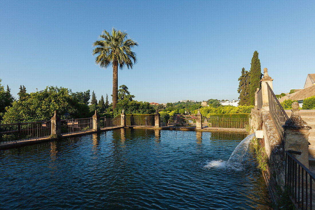 Wasserbecken und Palme, Gärten des Alcazar de los Reyes Cristianos, königliche Residenz, historisches Stadtzentrum von Cordoba, UNESCO Welterbe, Cordoba, Andalusien, Spanien, Europa