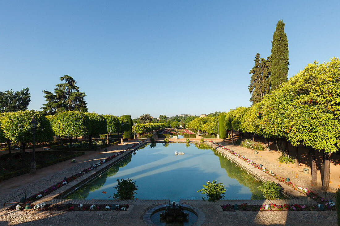 Wasserbecken und Zypresse, Gärten des Alcazar de los Reyes Cristianos, königliche Residenz, historisches Stadtzentrum von Cordoba, UNESCO Welterbe, Cordoba, Andalusien, Spanien, Europa