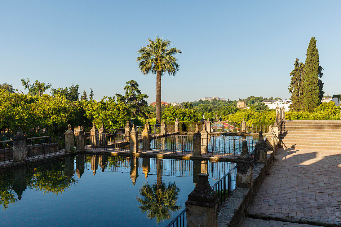 Pond with water reflection of a palm tree, gardens of the Alcazar de los Reyes Cristianos, royal residence, historic centre of Cordoba, UNESCO World Heritage, Cordoba, Andalucia, Spain, Europe
