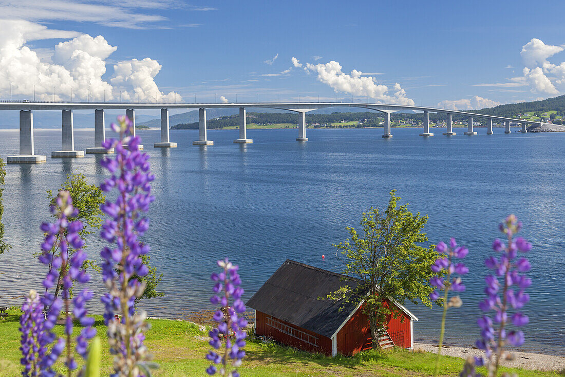 Tresfjordbrua zwischen Vestnes und Vikebukt, Møre og Romsdal, Westnorwegen, Norwegen, Skandinavien, Nordeuropa, Europa