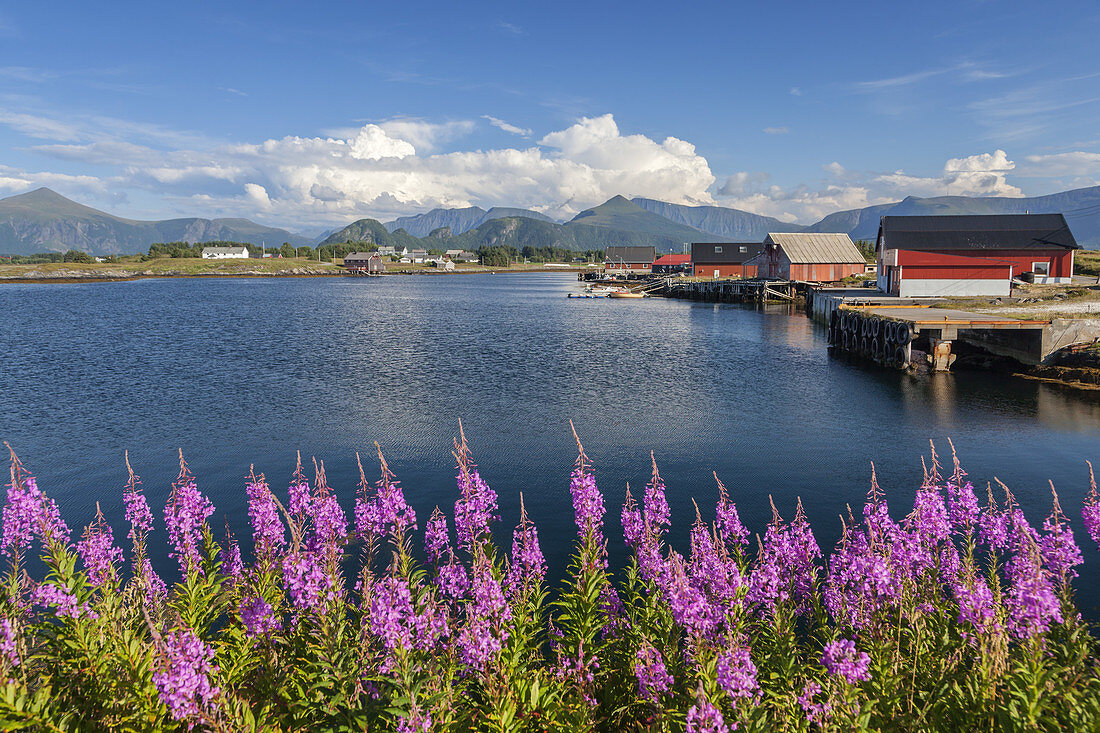 Askevågen an der Atlantikstraße, Vågen, Møre og Romsdal, Westnorwegen, Norwegen, Skandinavien, Nordeuropa, Europa