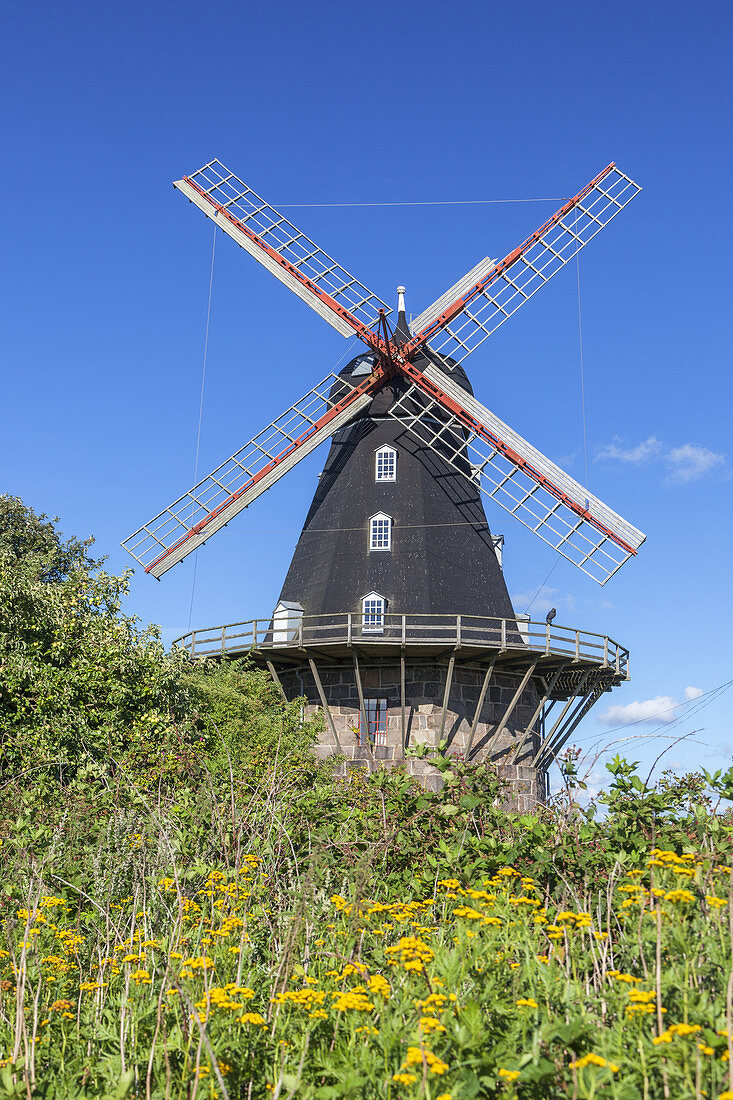 Windmill Särdals Kvarn in Haverdal, Halland, South Sweden, Sweden, Scandinavia, Northern Europe, Europe