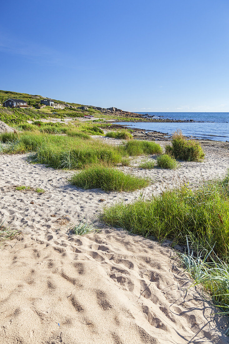 Beach near Falkenberg, Halland, South Sweden, Sweden, Scandinavia, Northern Europe, Europe