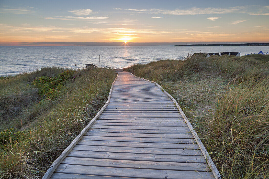 Way across the dunes to the beach of Tylösand, Halmstad, Halland, South Sweden, Sweden, Scandinavia, Northern Europe, Europe