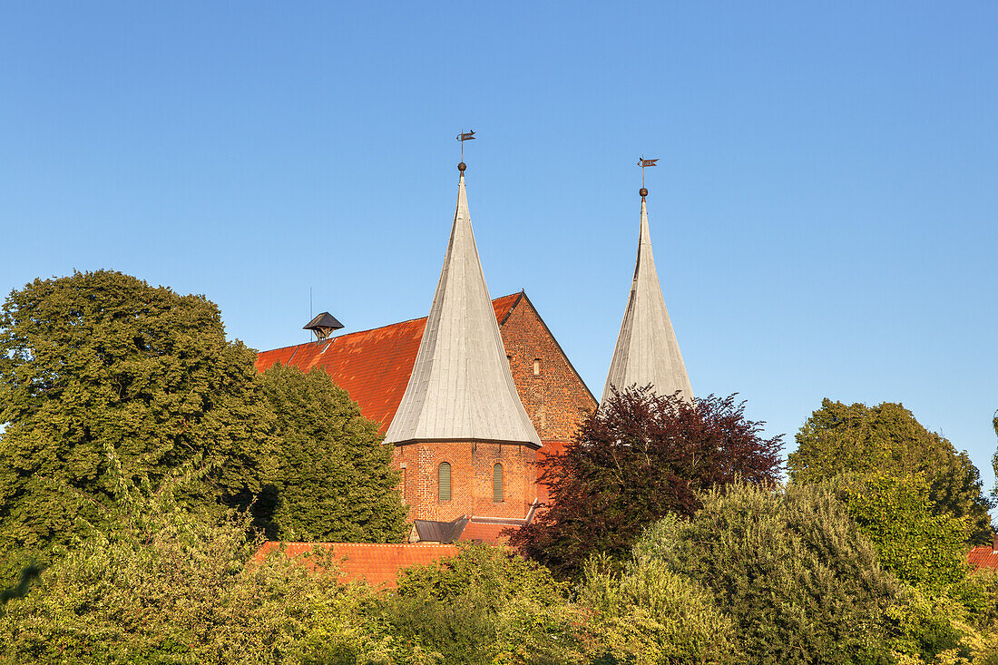 Cathedral of Bardowick St. Peter and Paul, Lower Saxony, Northern Germany, Germany, Europe