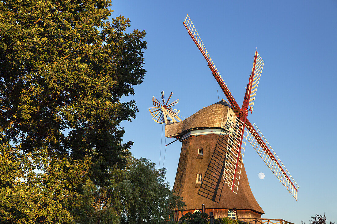 Handorfer Mühle, Handorf, Niedersachsen, Norddeutschland, Deutschland, Europa