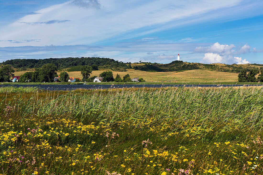 Blick von Altbessin auf den Dornbusch mit dem Ort Grieben und Leuchtturm, Insel Hiddensee, Mecklenburg-Vorpommern, Deutschland