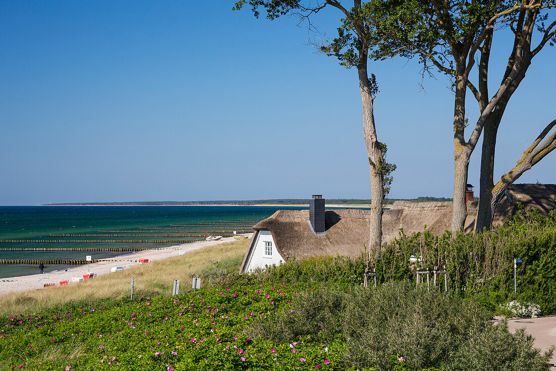 Reetgedecktes Haus am Strand in Ahrenshoop, Darß, Fischland, Ostsee, Mecklenburg-Vorpommern, Deutschland