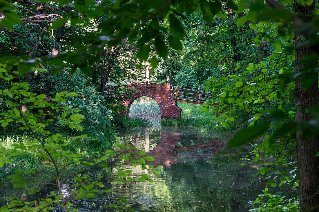 Ruinenbrücke im Landschaftspark Georgium, Dessau-Roßlau, Sachsen-Anhalt, Deutschland, Europa
