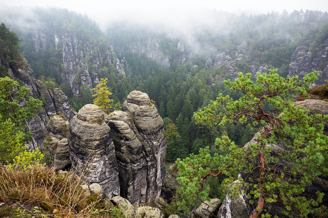 Rock formation Bastei, Saxon Switzerland National Park, Elbe Sandstone Mountains, Saxony, Germany, Europe