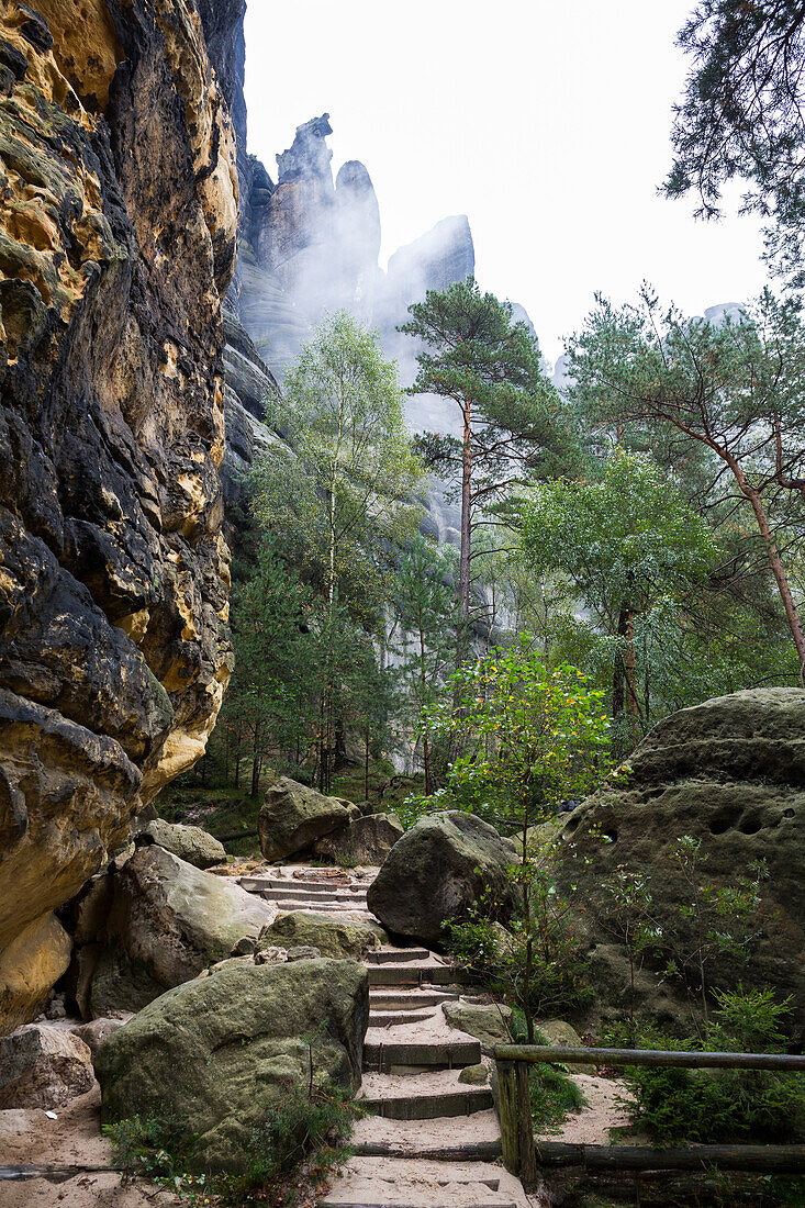 Schrammsteine, Felsformationen, Nationalpark Sächsische Schweiz, Elbsandsteingebirge, Sachsen, Deutschland, Europa