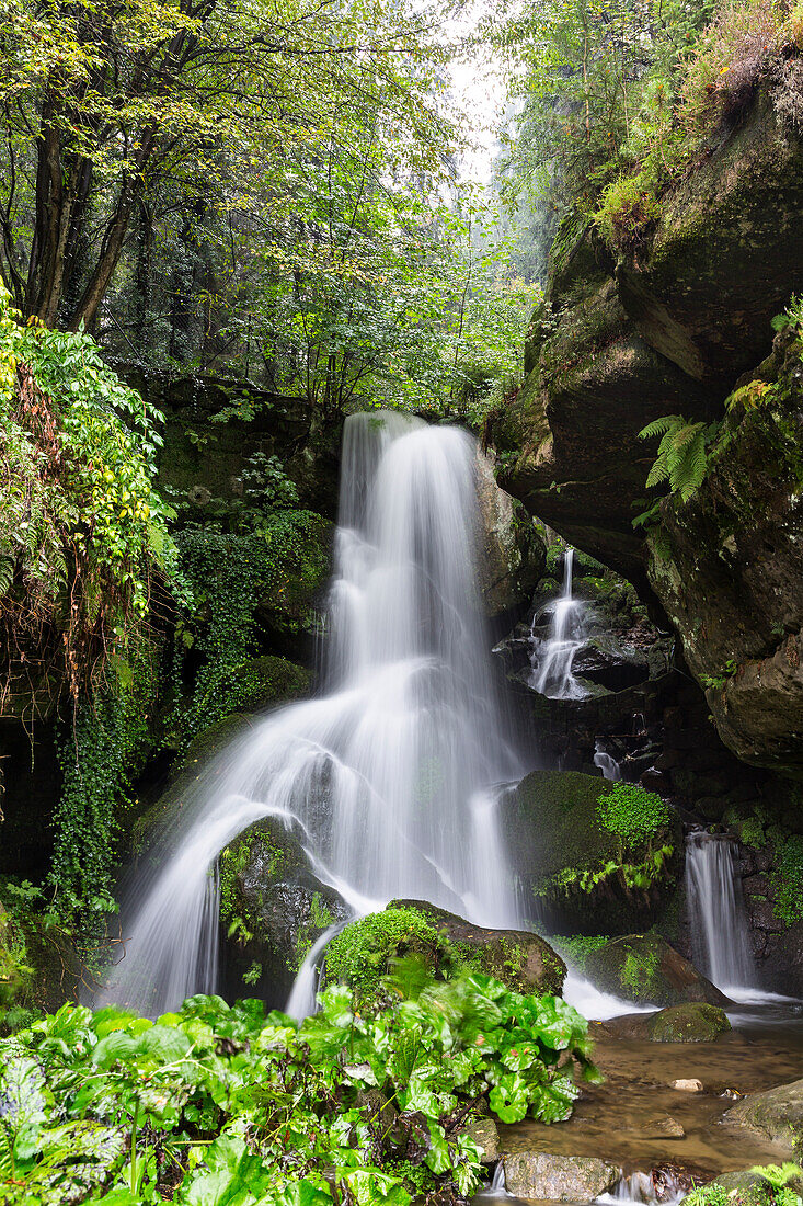 Lichtenhainer waterfall, Kirnitzsch Valley, Elbe Sandstone Mountains, Saxon Switzerland, Saxony, Germany, Europe