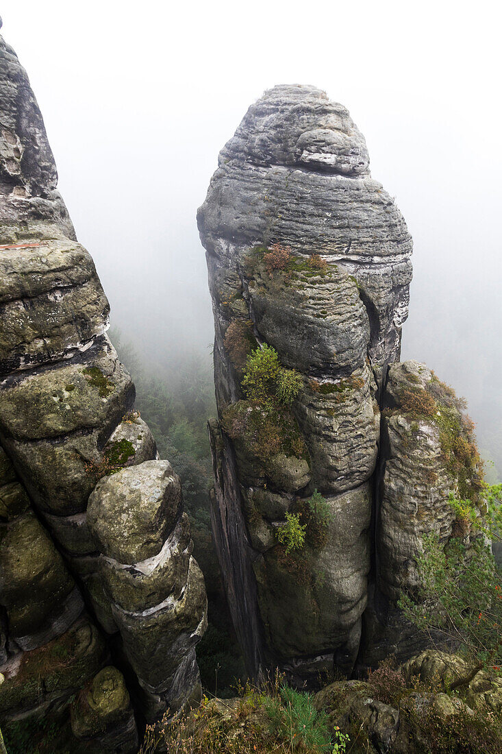 Rock needle in mist, rock formation Bastei, Saxon Switzerland National Park, Elbe Sandstone Mountains, Rathen, Saxony, Germany, Europe
