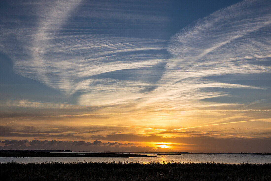 Sonnenaufgang im Nationalpark Vorpommersche Boddenlandschaft, Halbinsel Zingst, Mecklenburg-Vorpommern, Deutschland, Europa