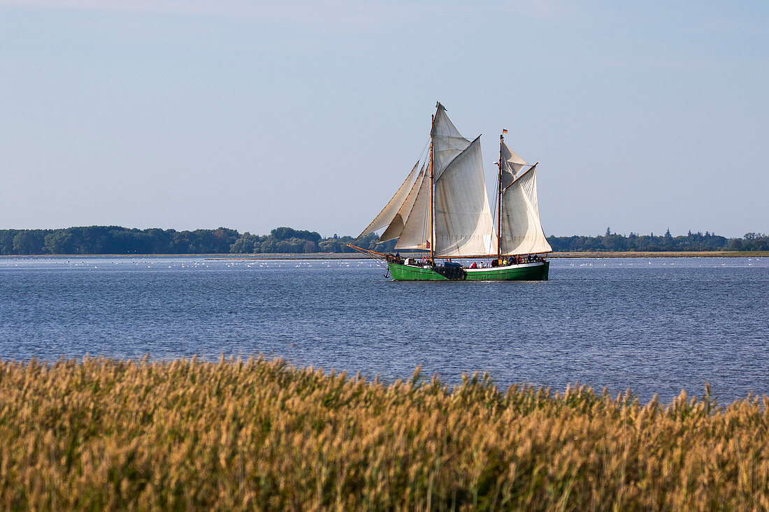 Zweimastiges Segelboot vor der Halbinsel Zingst, Ostsee, Mecklenburg-Vorpommern, Deutschland