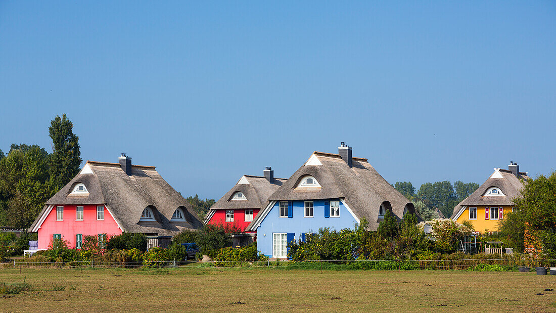 ' colourful thatched houses in Ahrenshoop, Darß, Fischland, Baltic Sea, Mecklenburg-Western Pomerania; Germany, Europe'