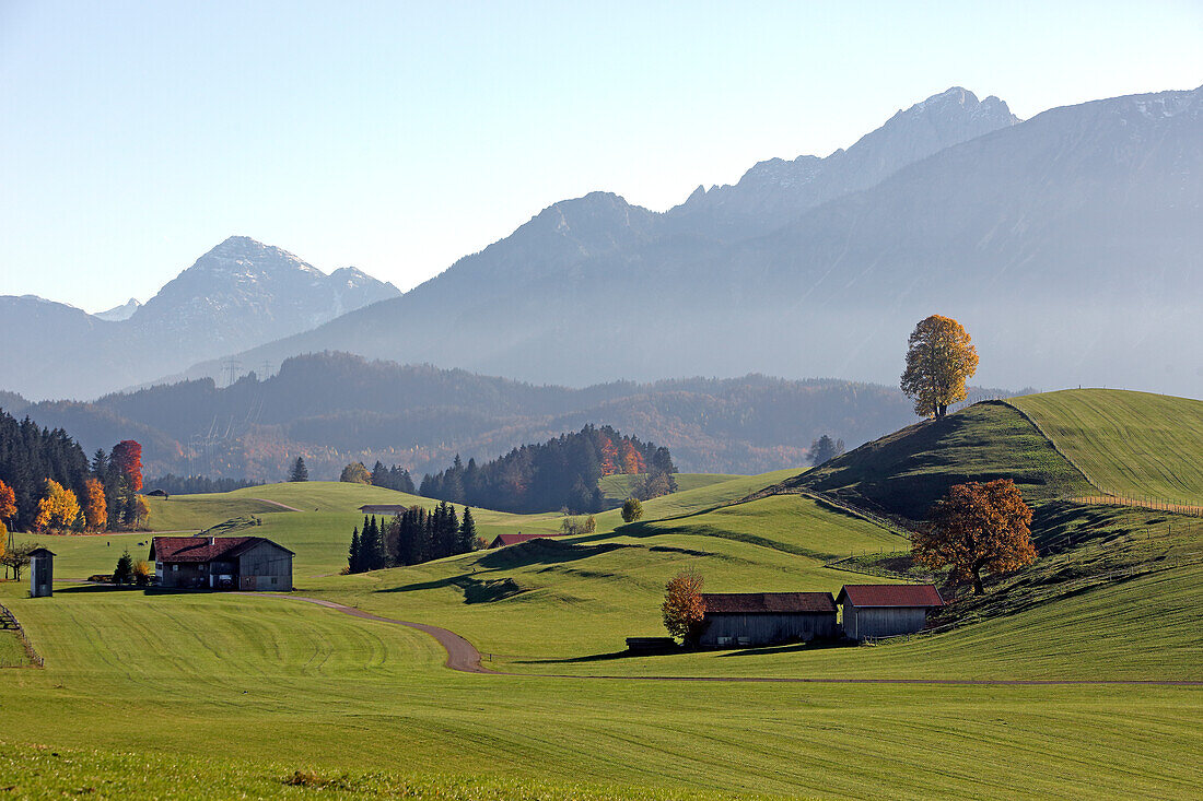 Landschaft bei Eisenberg, Oberallgäu, Allgäu, Schwaben, Bayern, Deutschland