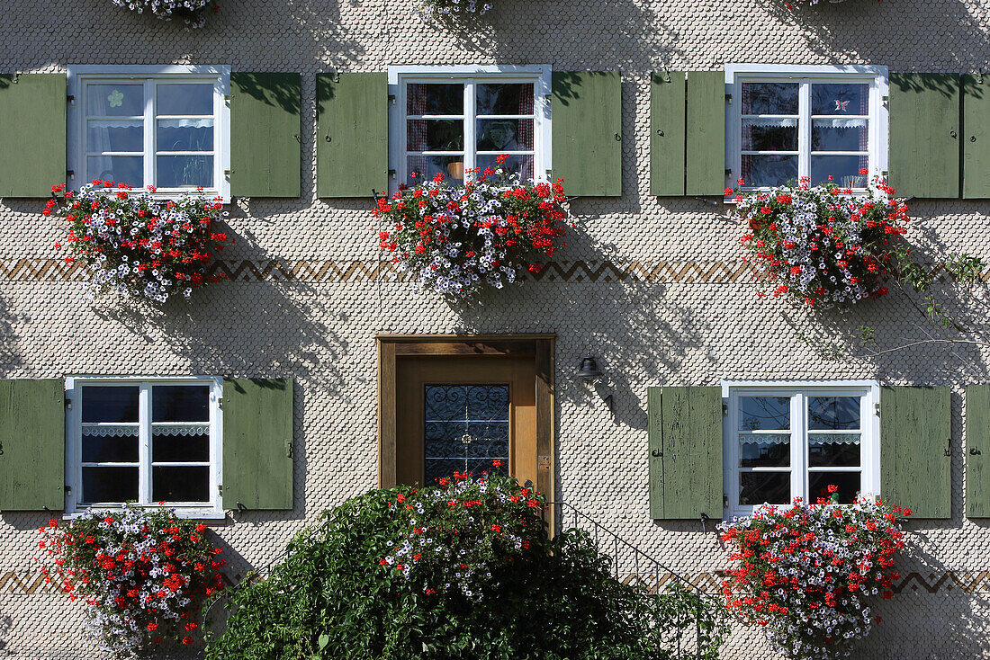 Shingle facade of a farm house, Blaichach, Gunzensrieder Tal, Upper Allgaeu, Allgaeu, Swabia, Bavaria, Germany