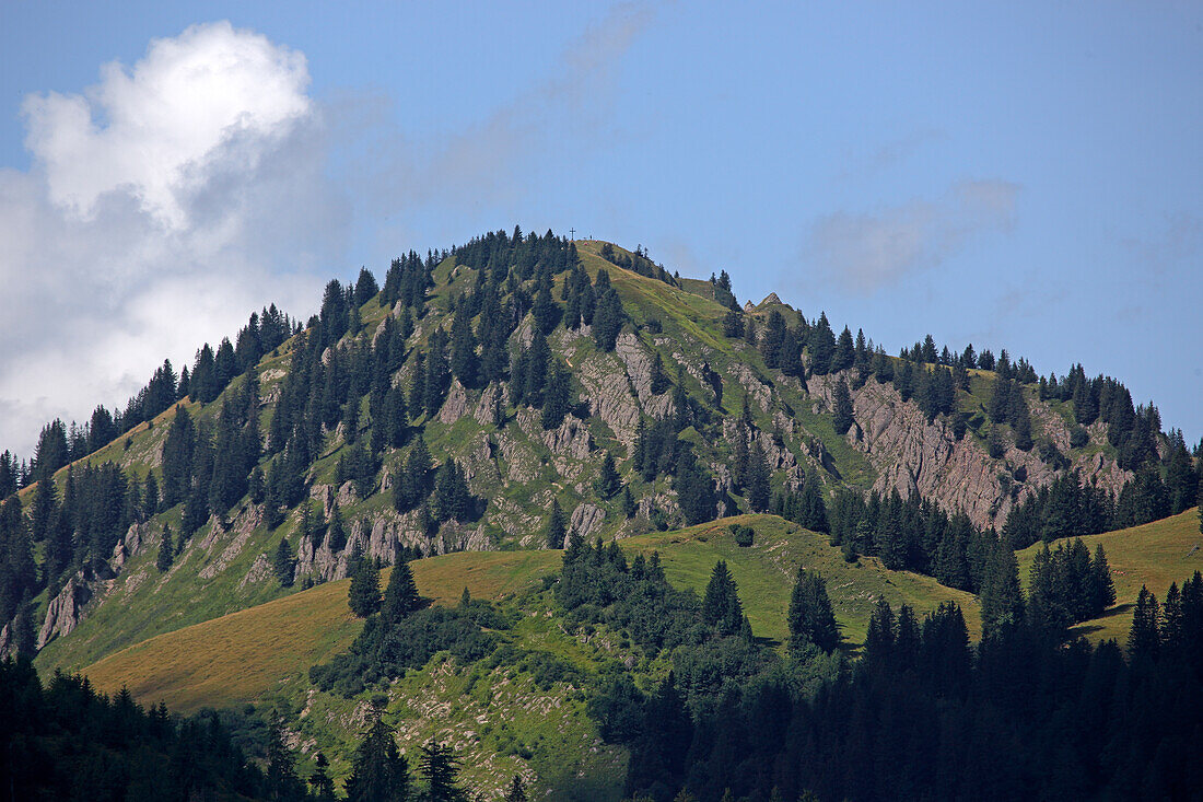 Nagelfluhkette, Upper Allgaeu, Allgaeu, Swabia, Bavaria, Germany