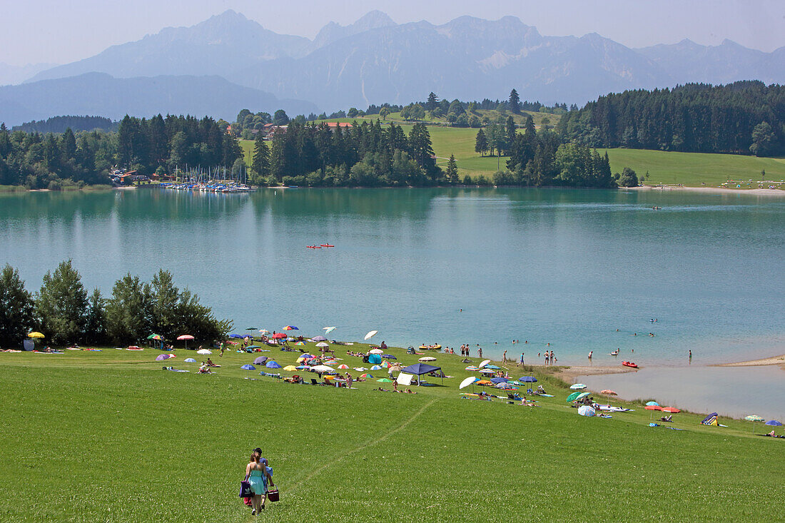 South eastern bank of Forggensee, Fuessen, Upper Allgaeu, Allgaeu, Swabia, Bavaria, Germany