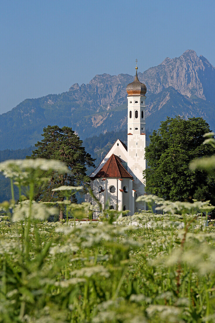 st. Coloman, Fuessen, Eastern Allgaeu, Allgaeu, Swabia, Bavaria, Germany