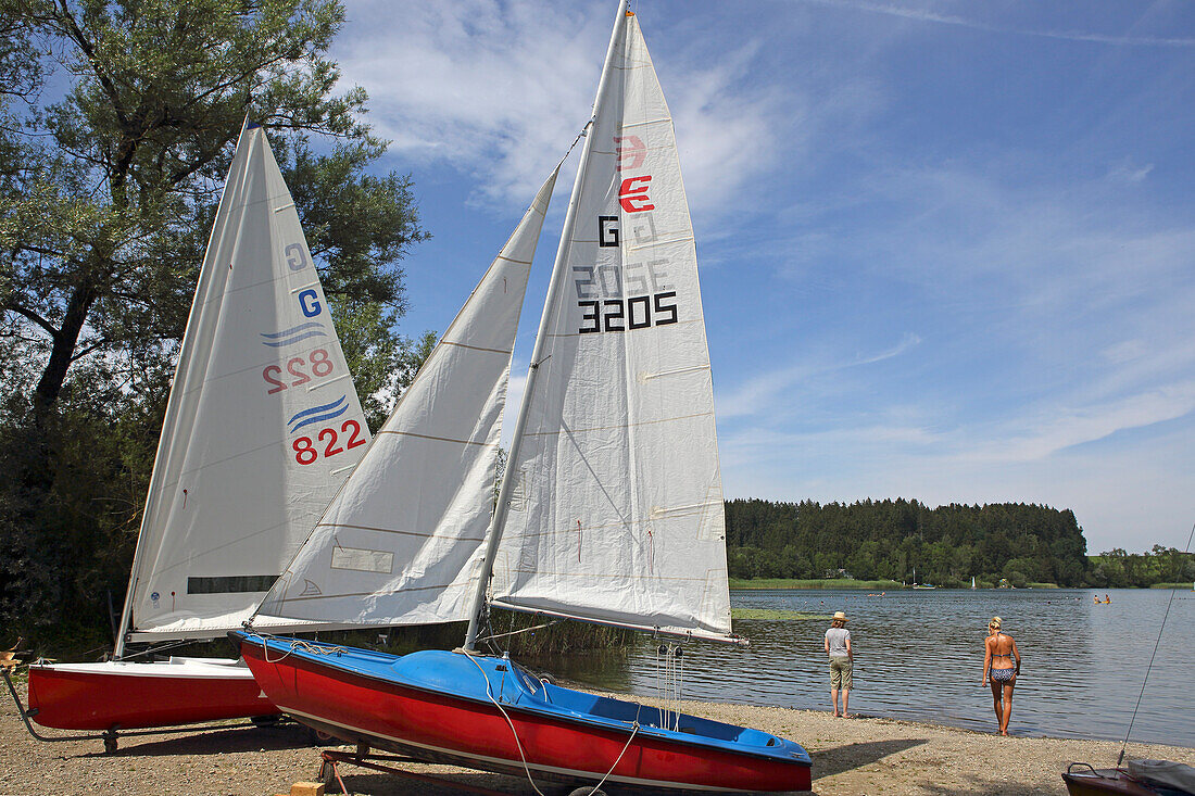 Niedersonthofener See, bei Immenstadt, Oberallgäu, Allgäu, Schwaben, Bayern, Deutschland