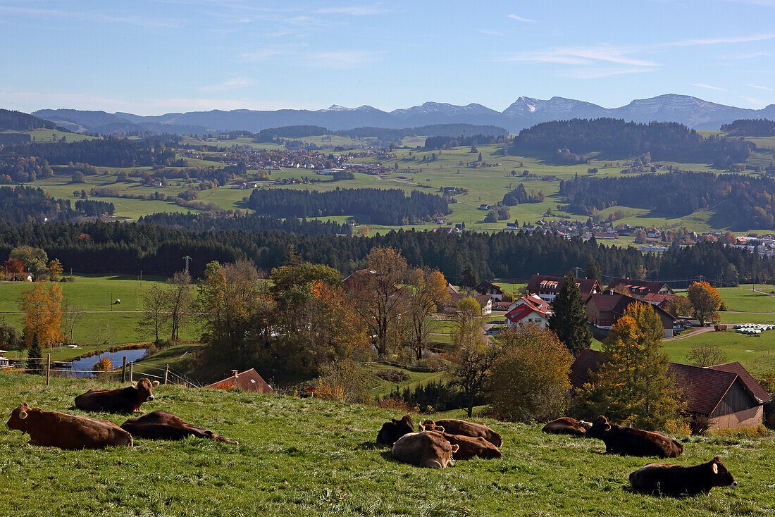 South view of Alpenstrasse in Lindenberg, West Allgaeu, Allgaeu, Swabia, Bavaria, Germany